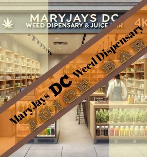 MaryJays DC Weed Dispensary Juice Bar Washington Reviews