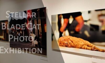 Stellar Blade Cat Photo Exhibition
