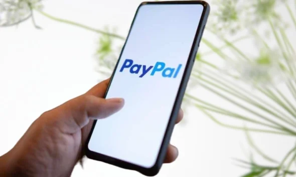 Prince Narula Digital Paypal