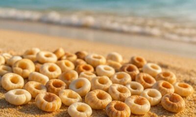 Puka shells