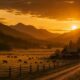 Yellowstone Season 6