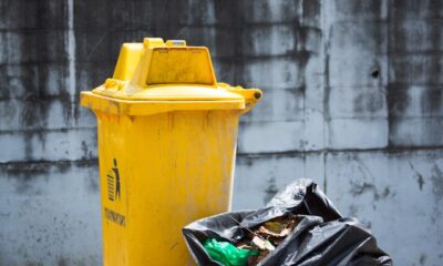 Right-Sized Waste Removal