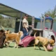 Dog’s